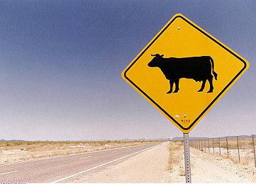 《神之天平外传：幻雾之洞窟》Steam页面上线 发售日期待定